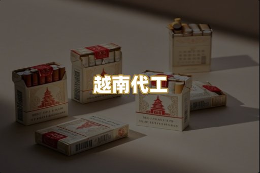 越南代工
